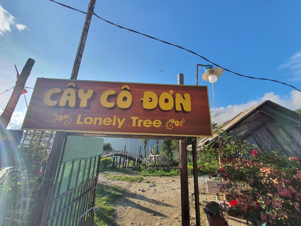 Travelers with a love for distinctive check-in spots won’t want to miss the iconic Lonely Tree 